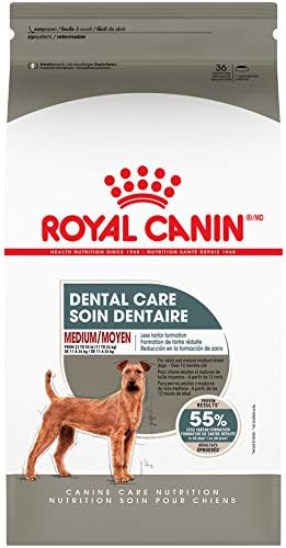 Royal Canin טיפולי שיניים יבש האוכל בינוני כלבים, 30 lb. התיק